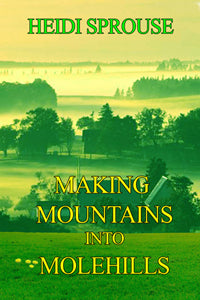 Making Mountains into Molehills by Heidi Sprouse