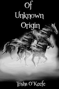 Of Unknown Origin by Trisha O'Keefe