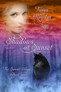 Shadows at Sunset by Tonya Royston